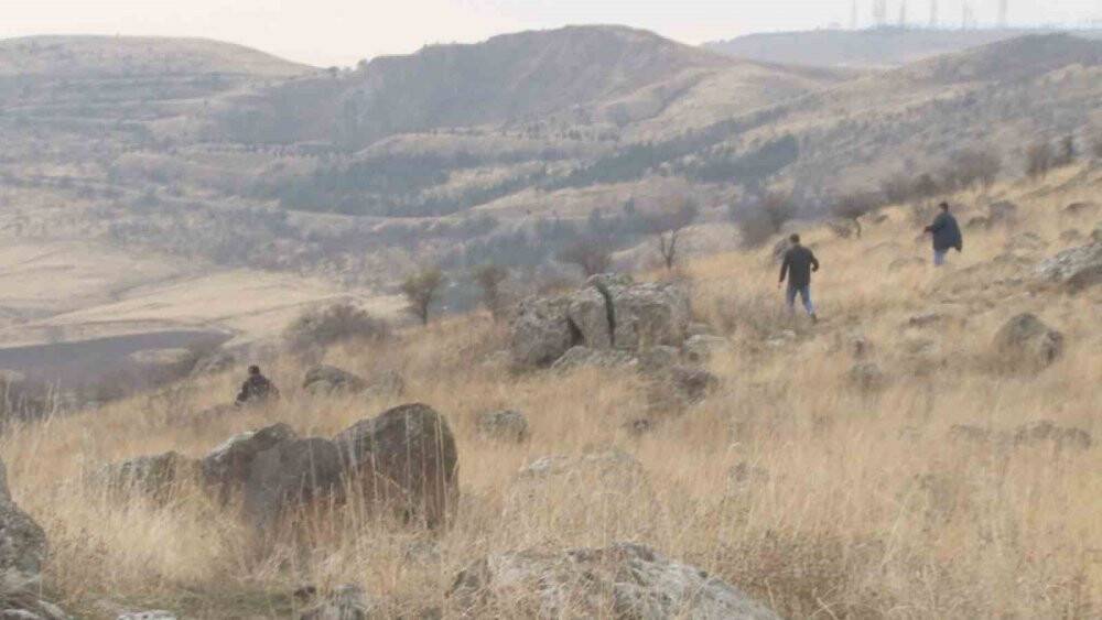 Başkent’te başıboş köpek dehşeti: "Çocuğu paramparça etmişler"