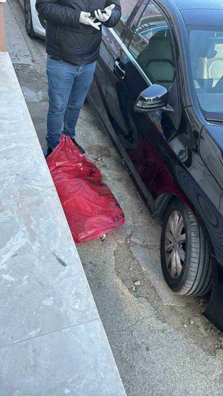 İzmir’de köpek katliamı