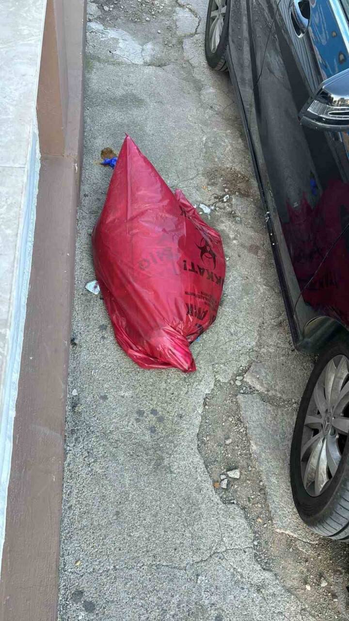 İzmir’de köpek katliamı