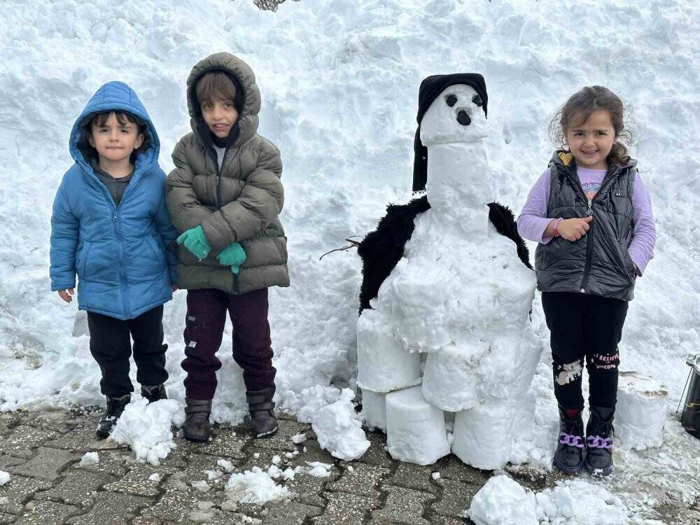 Yüksekova kara gömüldü