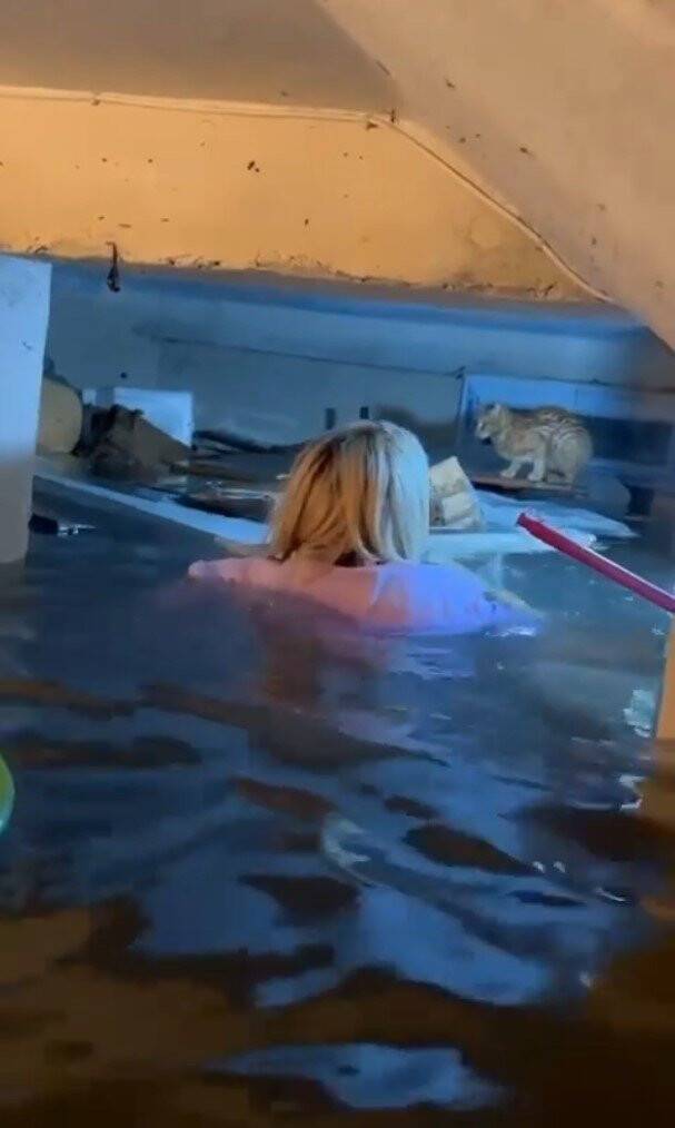 Selde kendi hayatını hiçe saydı, su dolu bodrumda mahsur kalan kediyi kurtardı