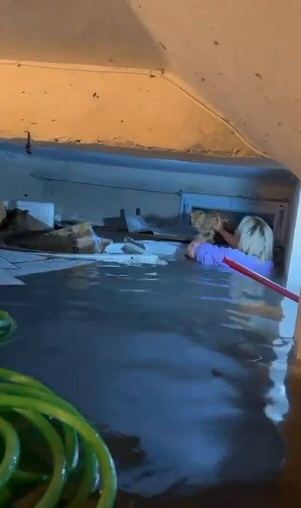 Selde kendi hayatını hiçe saydı, su dolu bodrumda mahsur kalan kediyi kurtardı