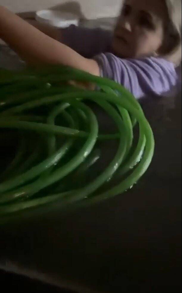 Selde kendi hayatını hiçe saydı, su dolu bodrumda mahsur kalan kediyi kurtardı