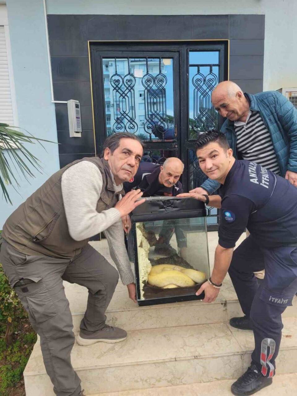 Antalya'da dev pitonu apartman dairesinde beslerken yakalandı