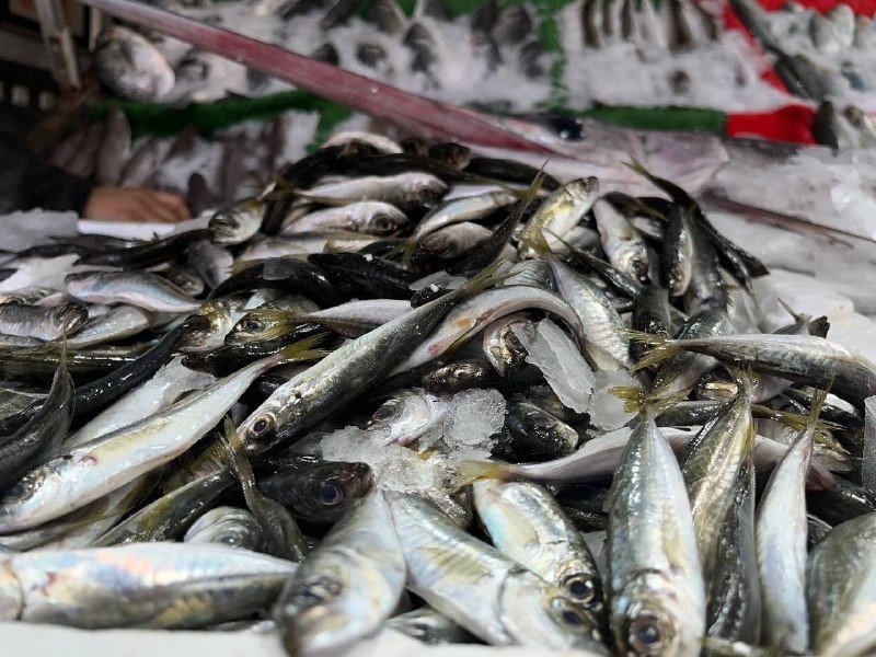 Et fiyatlarının artması vatandaşları balığa yöneltti