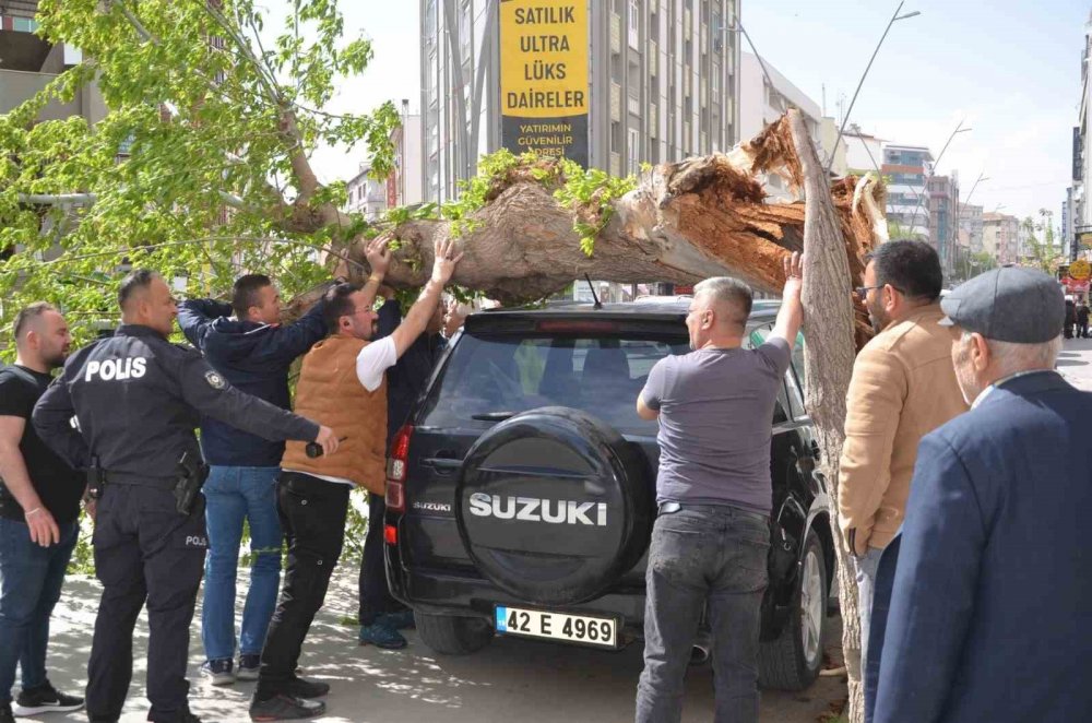 Konya'da ağaç cipin üzerine devrildi, çatılar uçtu