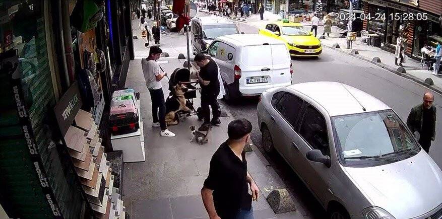 Esenler’de "Yedi Bela Hüsnü" isimli bir kedi ,köpeklere geçit vermiyor