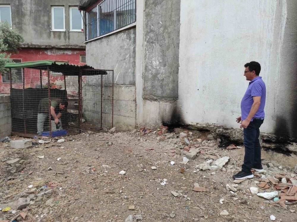 Fethiye’de piton alarmı