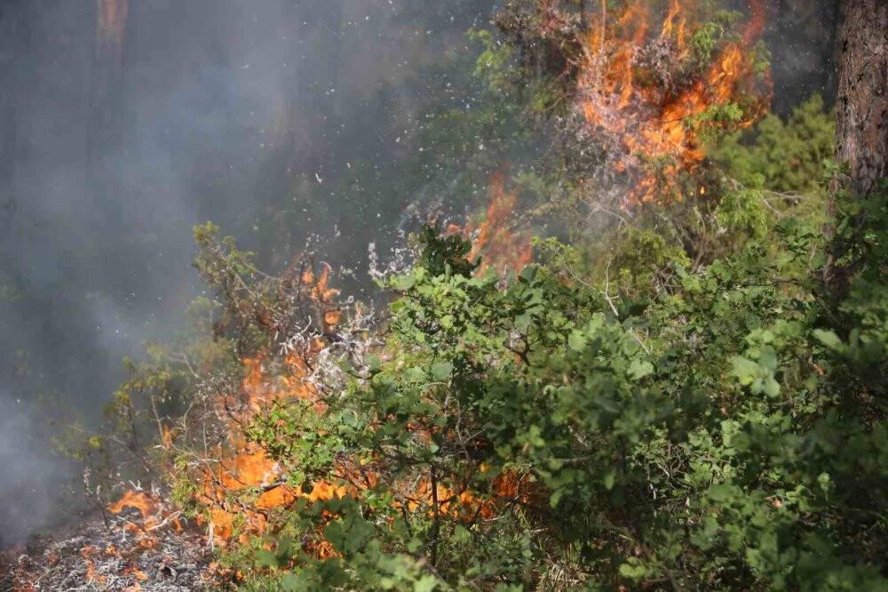 Orhaneli’ndeki orman yangını kontrol altına alındı