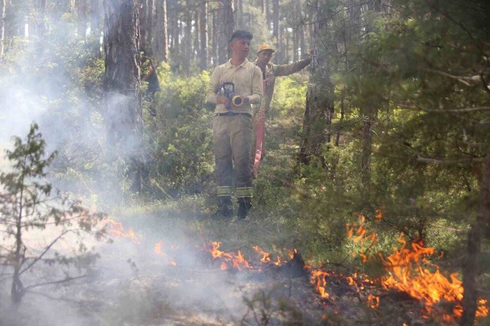 Orhaneli’ndeki orman yangını kontrol altına alındı