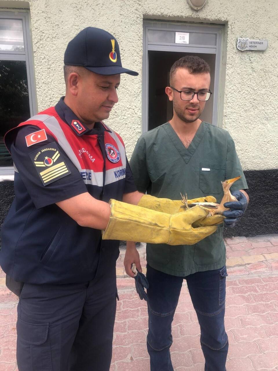 aa-20240607-34807141-34807140-konyada-yarali-bulunan-balaban-kusu-tedavi-altina-alindi.jpg