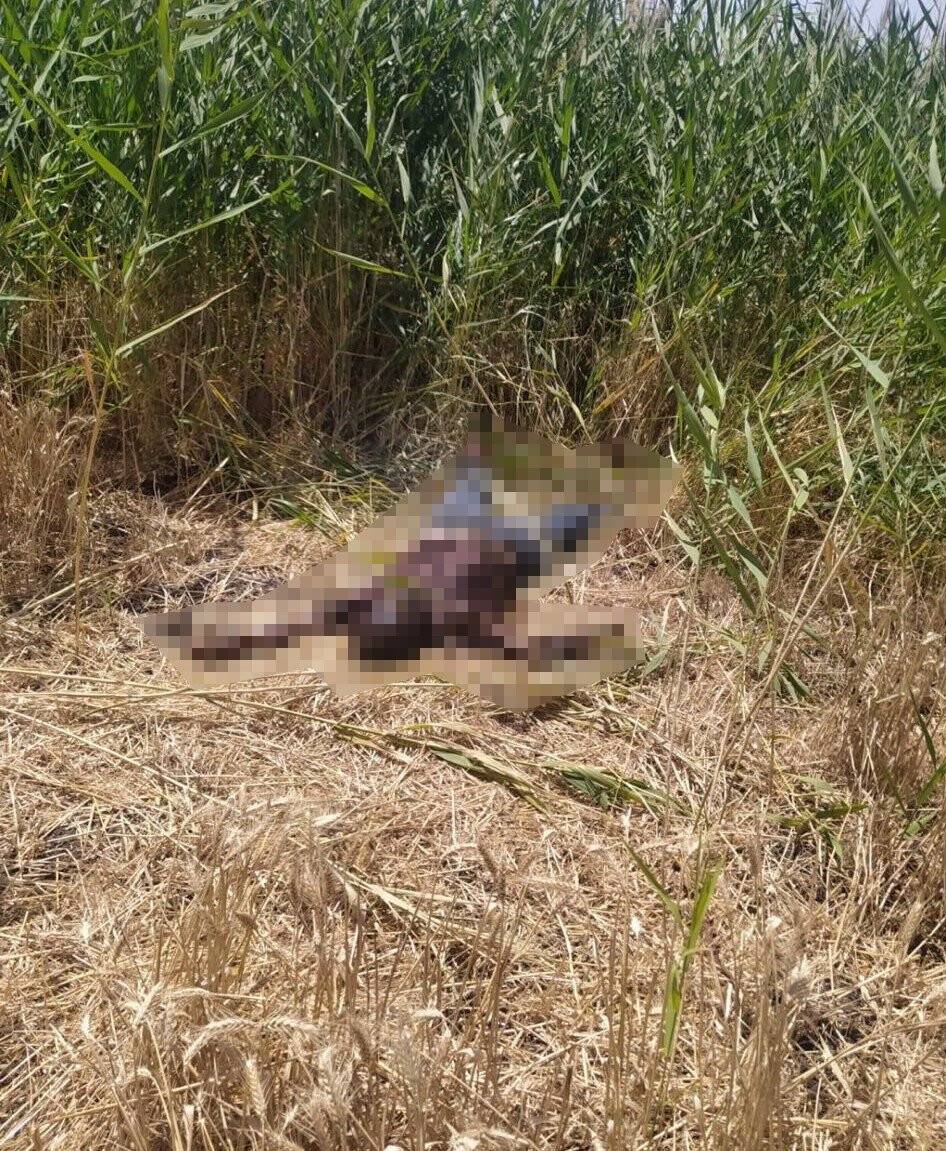 Feci ölüm: Depremde anne babası kardeşini de kaybetmiş