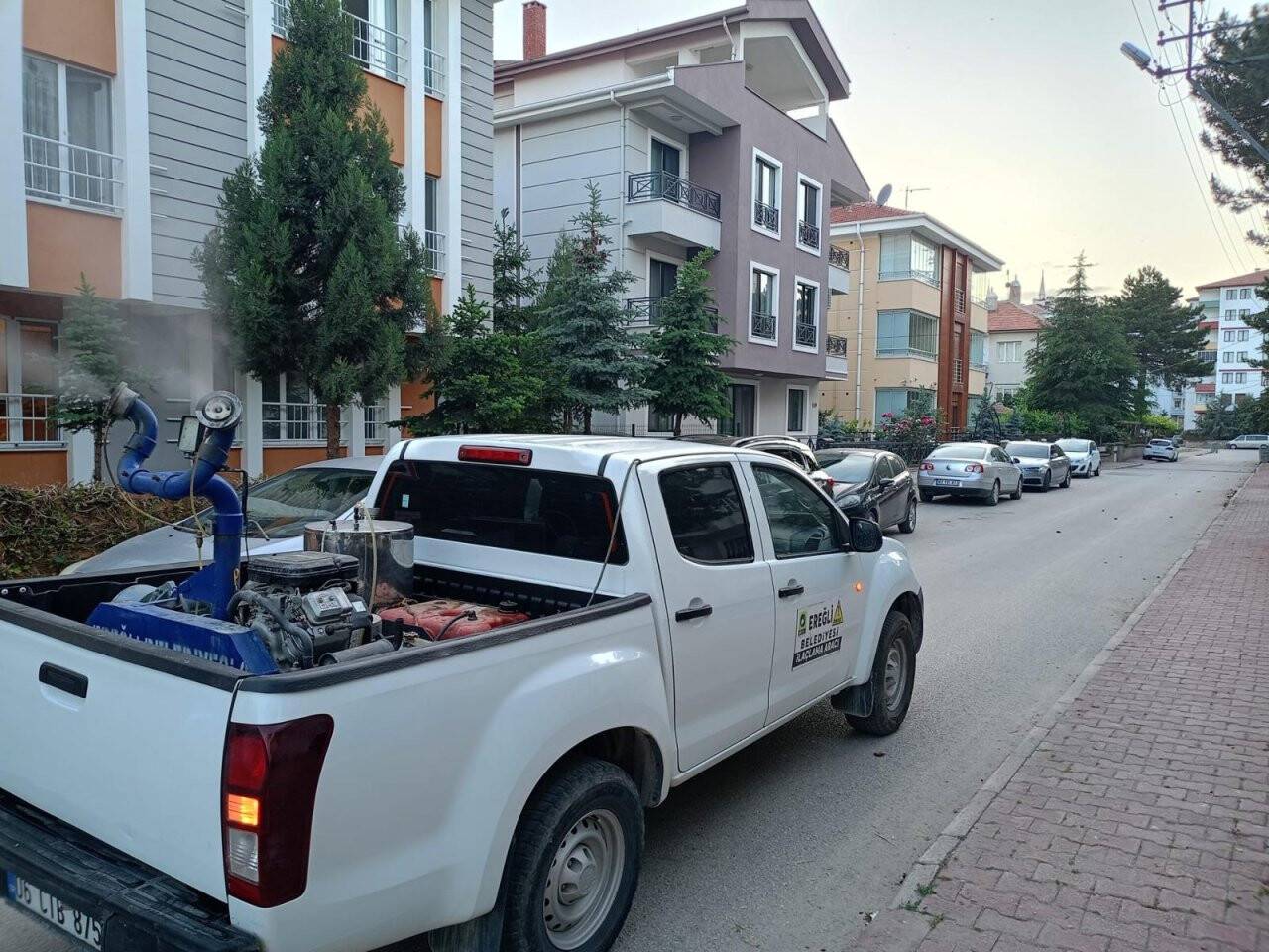 whatsapp-image-2024-05-21-at-08-40-18-1.jpeg