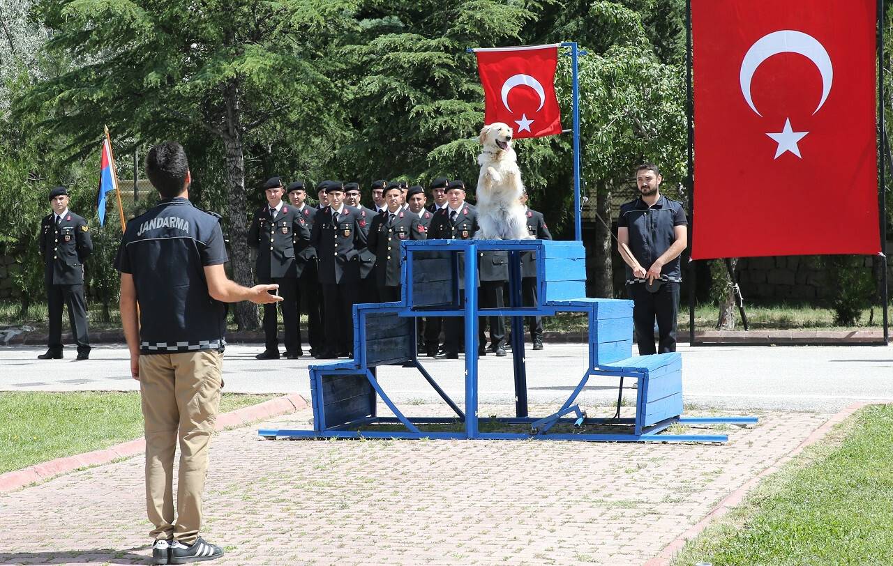 aa-20240614-34870164-34870159-konyada-jandarma-teskilatinin-185inci-kurulus-yil-donumu-kutlandi.jpg