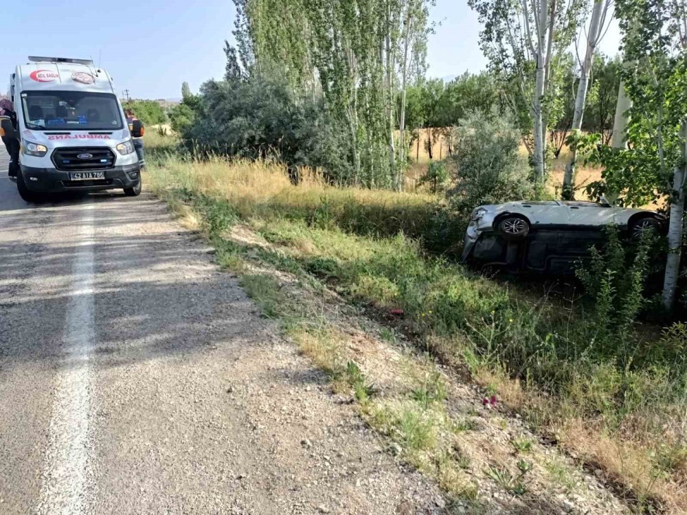 Yola aniden çıkan köpeğe çarpmamak isterken kaza yaptı