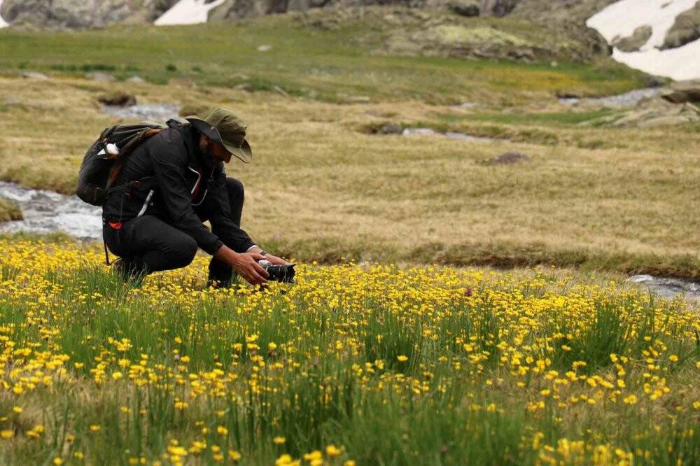 Artabel Gölleri’nde baharın renk cümbüşü başladı