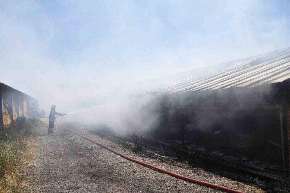 Kümes alev alev yandı: 20 bin adet canlı civciv telef oldu
