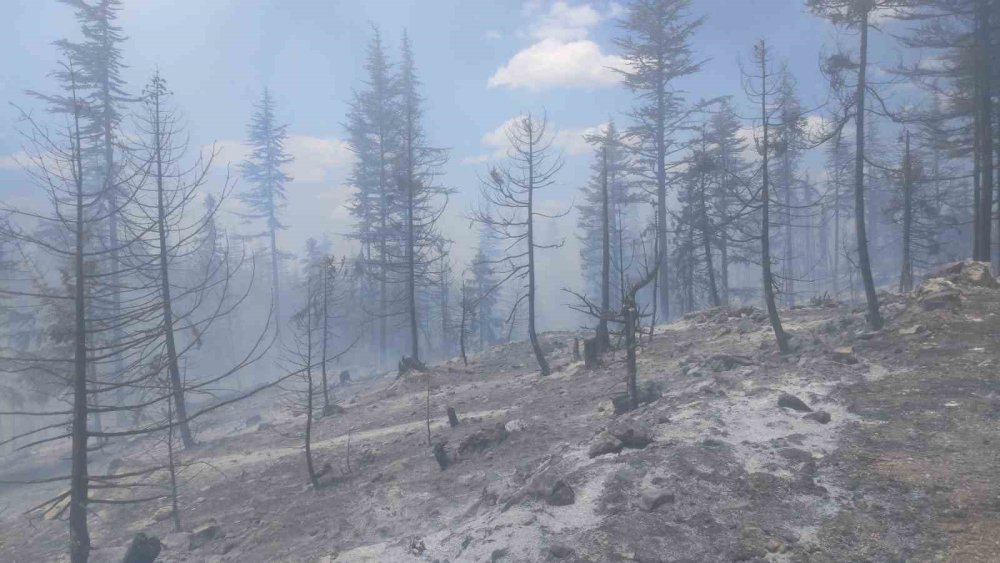 Karaman’da orman yangını