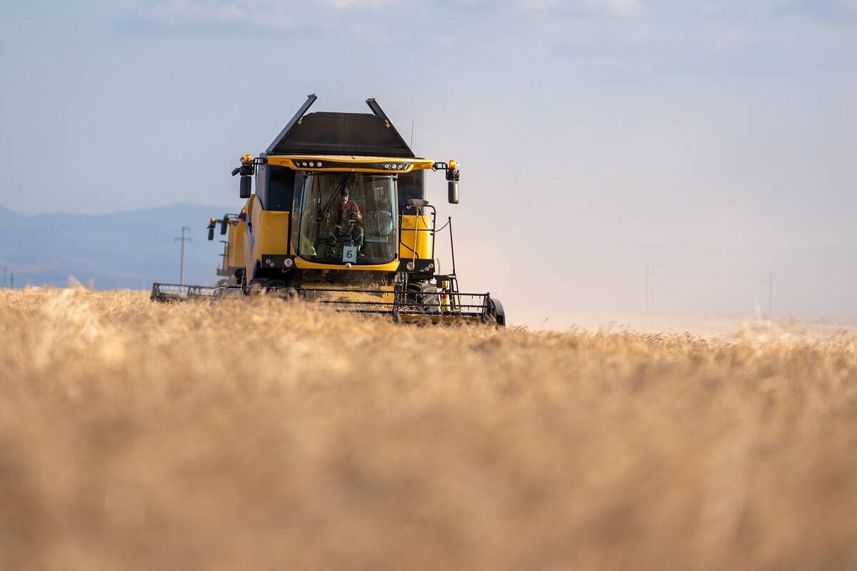 aa-20240712-35122349-35122332-konyanin-devasa-dairesel-tarlalarinda-hasat-mesaisi-tamamlandi.jpg
