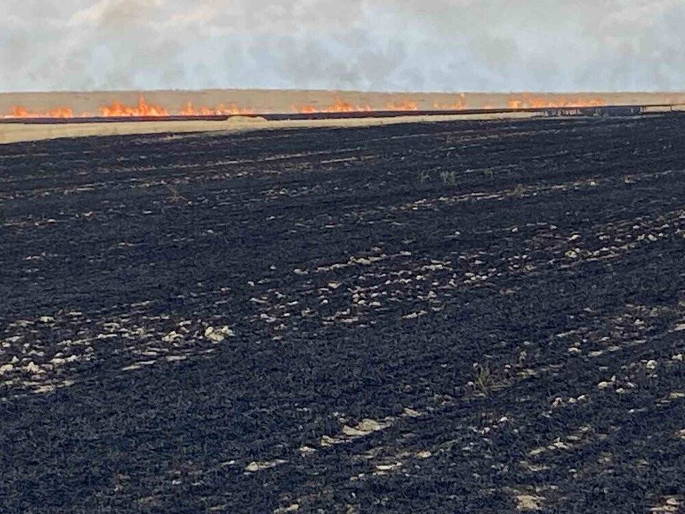 Tarlada çıkan yangında 600 saman balyası kül oldu