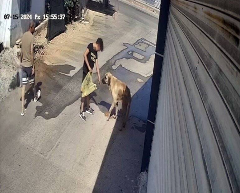 Köpeğe yiyecek verdi leini zor kurtardı!