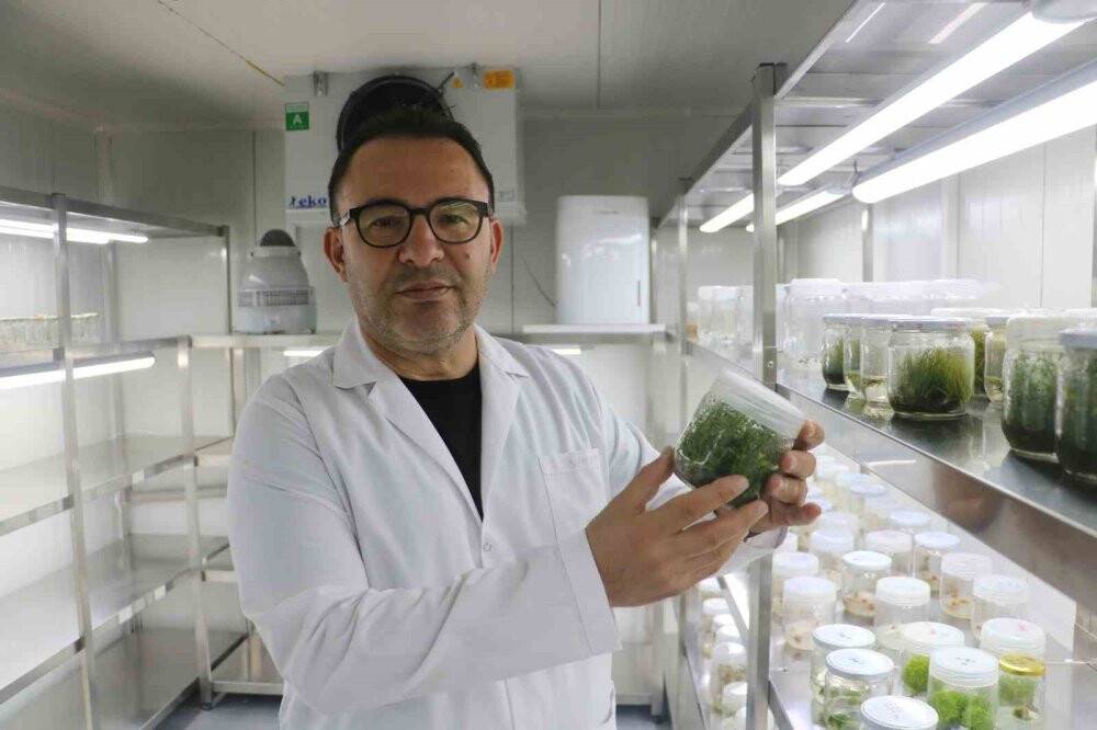 Savaşta oluşabilecek kıtlığa karşı Türkiye'den tarihi adım