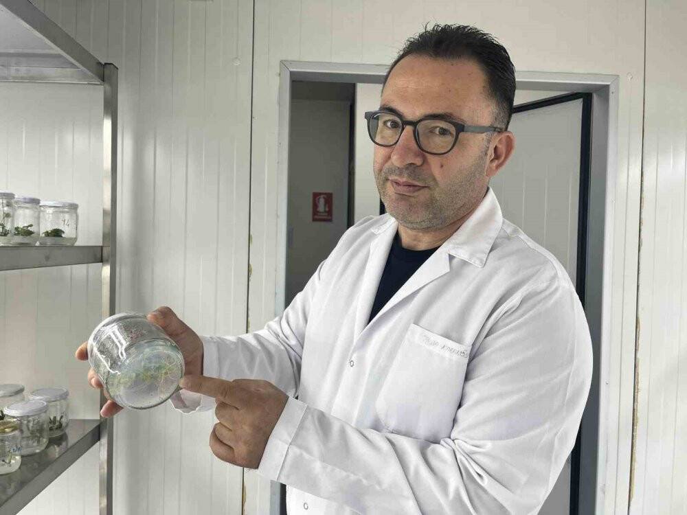 Savaşta oluşabilecek kıtlığa karşı Türkiye'den tarihi adım