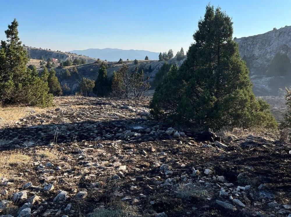 Kütahya’da orman yangını: 10 dekar alan zarar gördü