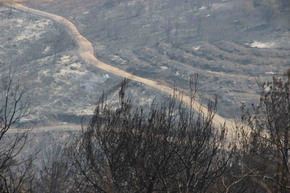Manisa’daki orman yangınında bu tablo görenleri 'ahh' dedirtti