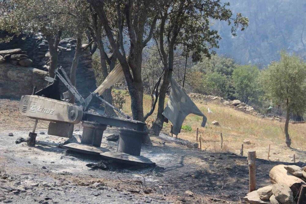 Manisa’daki orman yangınında bu tablo görenleri 'ahh' dedirtti