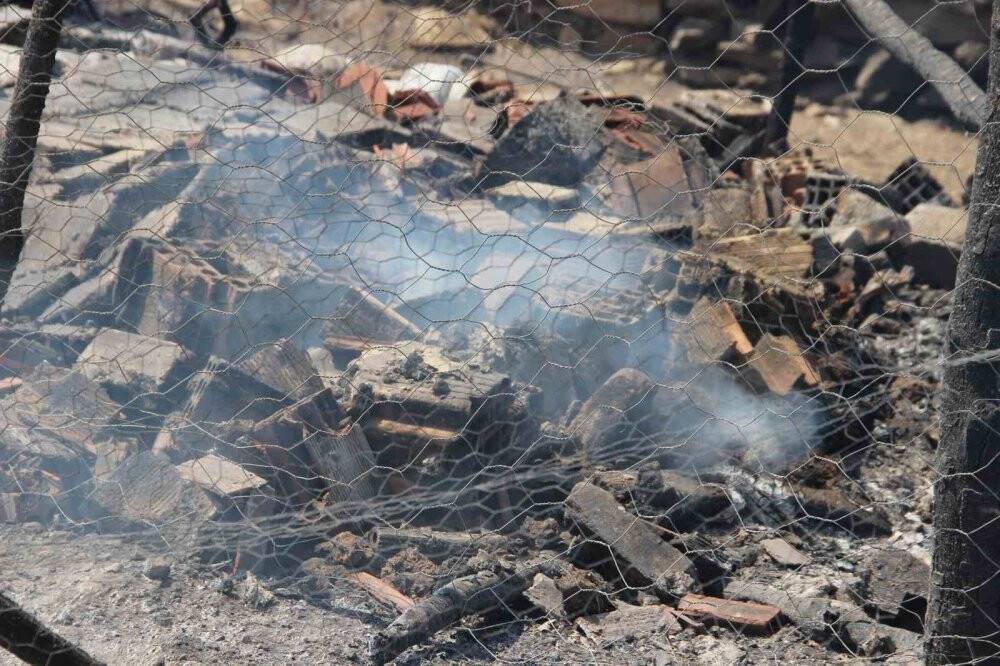 Manisa’daki orman yangınında bu tablo görenleri 'ahh' dedirtti