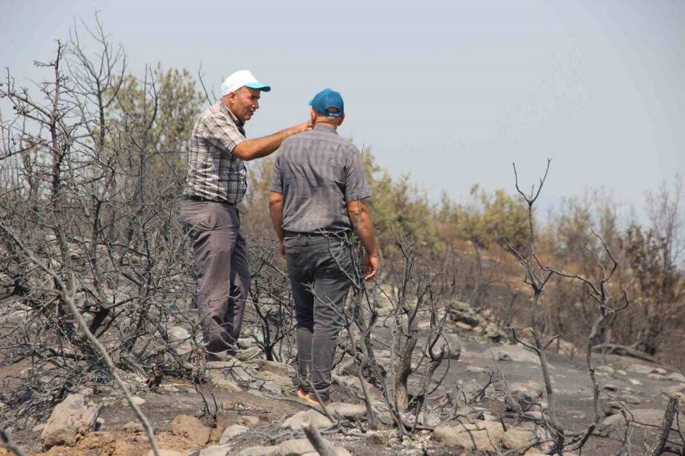 Manisa’daki orman yangınında bu tablo görenleri 'ahh' dedirtti