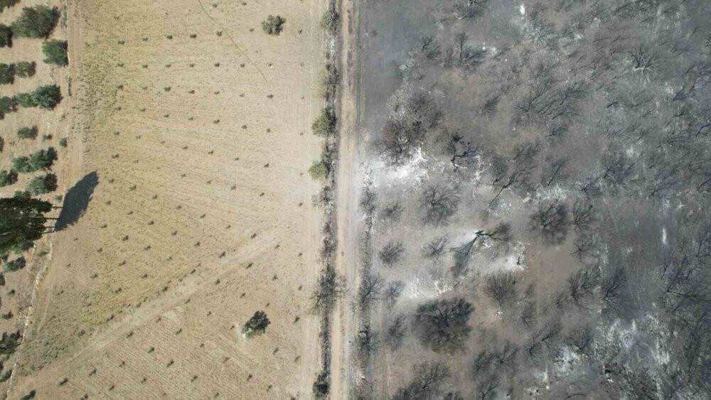 Manisa’daki orman yangınında bu tablo görenleri 'ahh' dedirtti