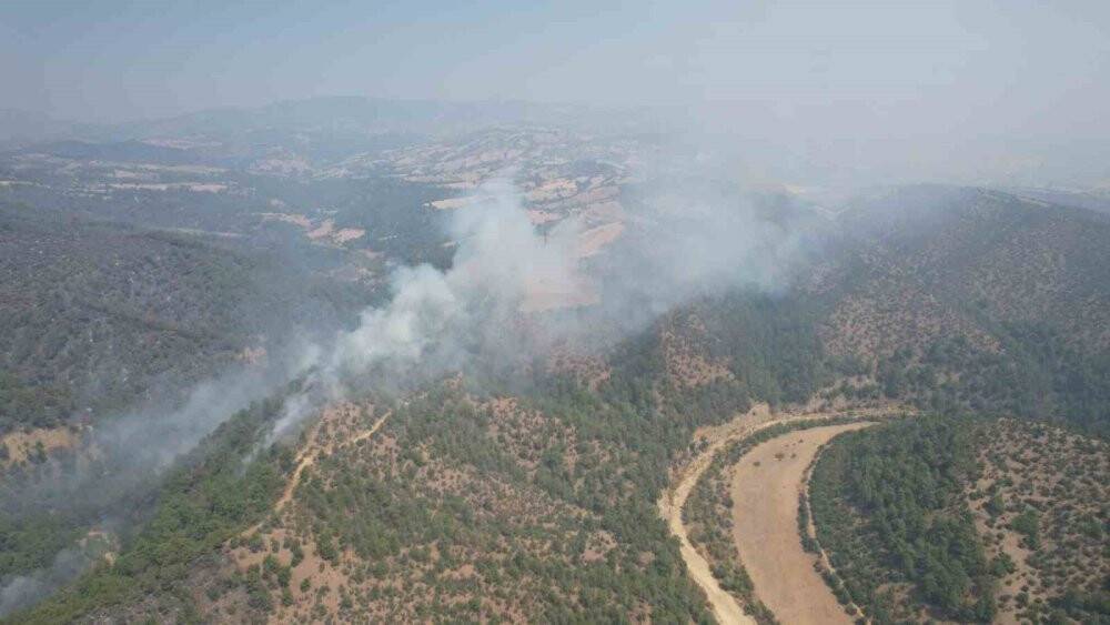 Manisa’daki orman yangınında bu tablo görenleri 'ahh' dedirtti