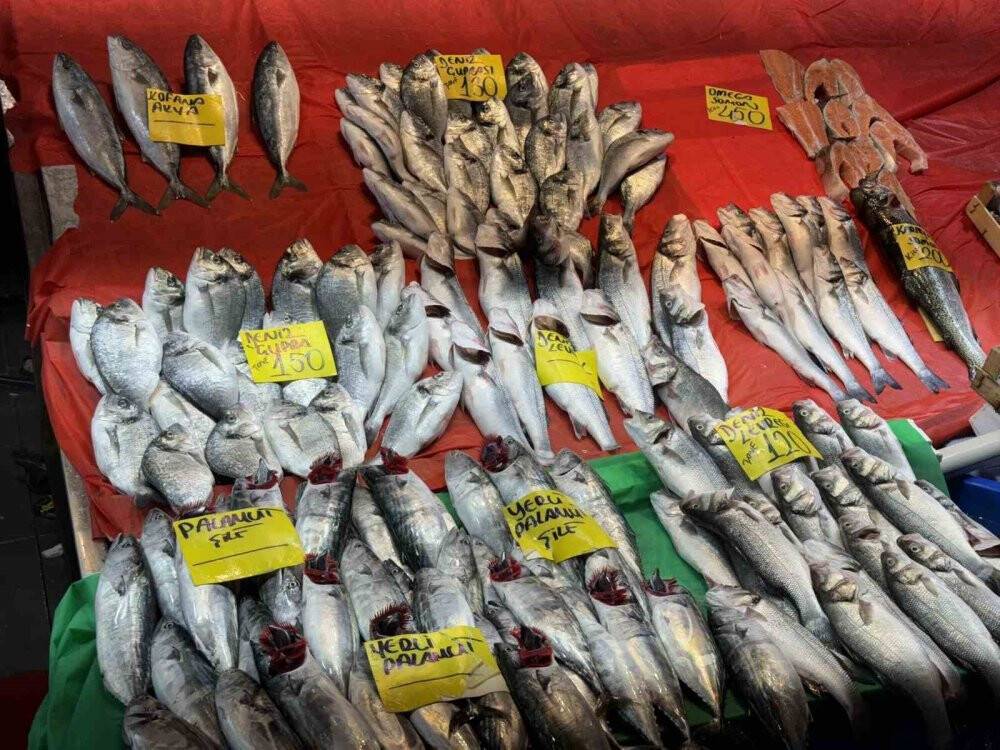 Balığı özleyenler için sezon açıldı