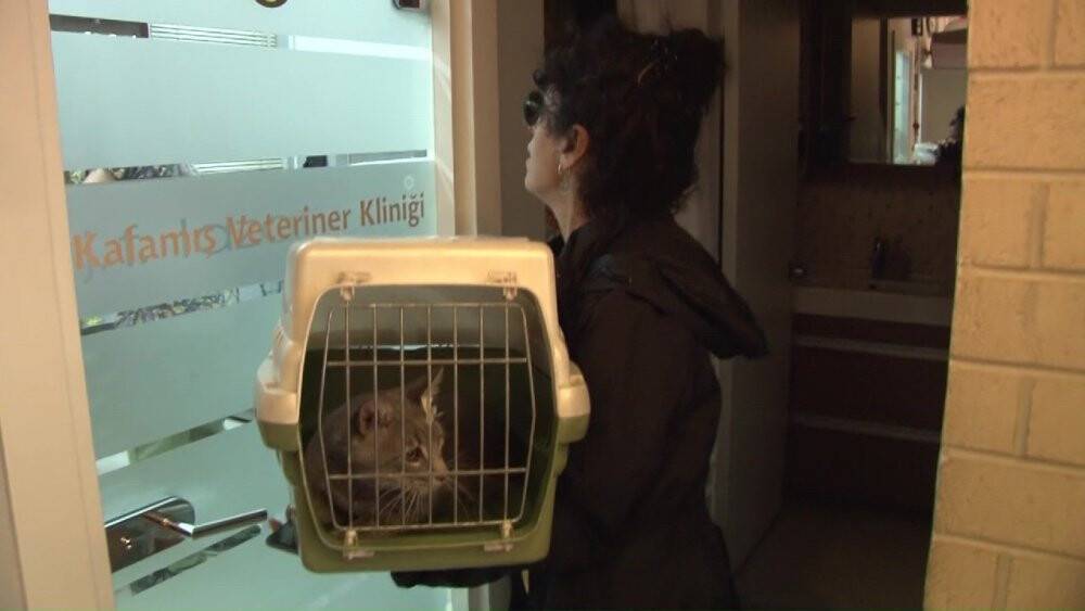 Köpek ve kedileri zehirlediler