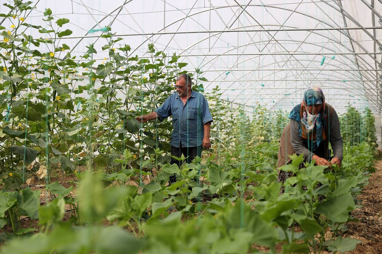 aa-20240927-35750183-35750176-dogal-uretimle-gecinen-cift-bahcesini-devlet-destegiyle-gelistirdi.jpg