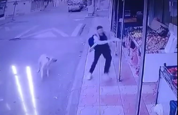 Başıboş sokak köpeğinden kaçtı düşüp markete sığınarak kurtuldu