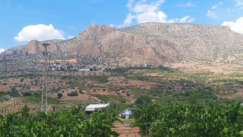 Konya’da köy ocağında imeceyle pekmez yapılmaya devam ediliyor