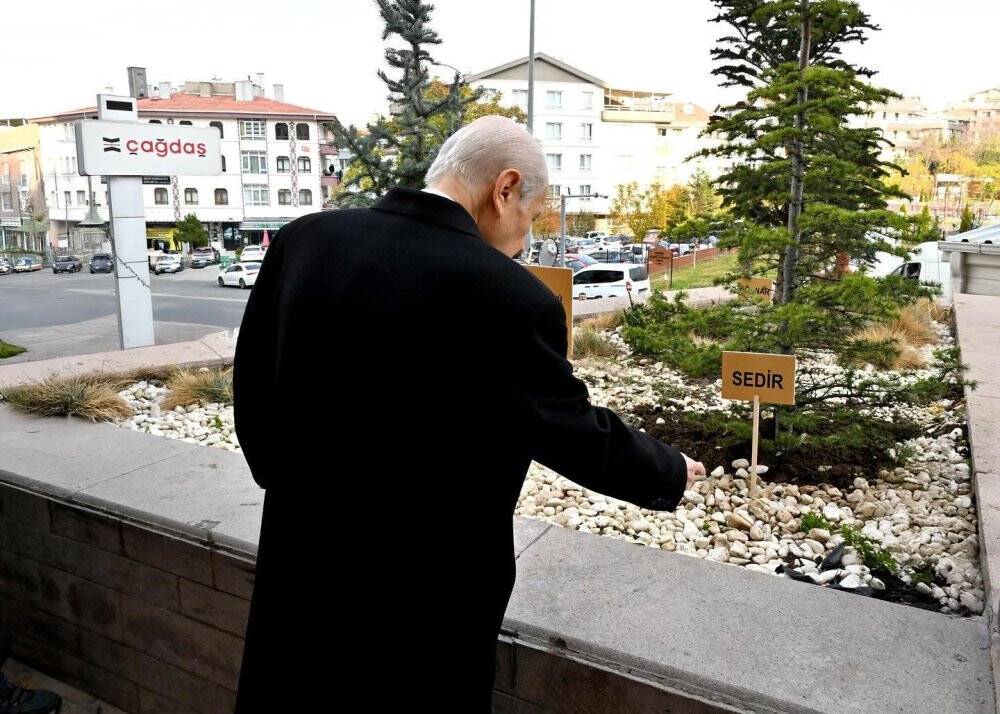 MHP’nin 'Biz Kardeşiz Ağaçları’ nın şifresi