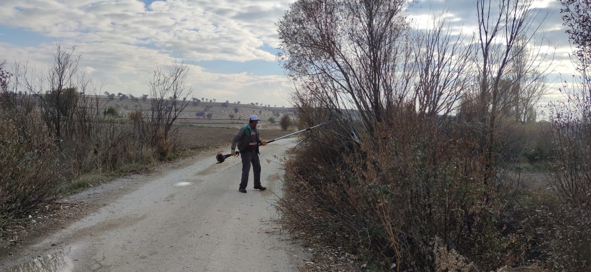 beysehir-belediyesinden-trafik-guvenligi-icin-agac-budama-calismalari-devam-ediyor-6.jpg