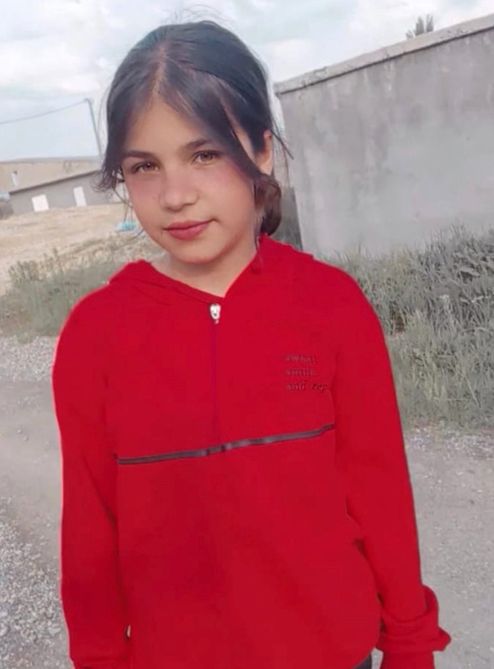 12 yaşın daki Eslem'in ölümü sokak hayavanları düzenlemesini yeniden gündeme getirdi