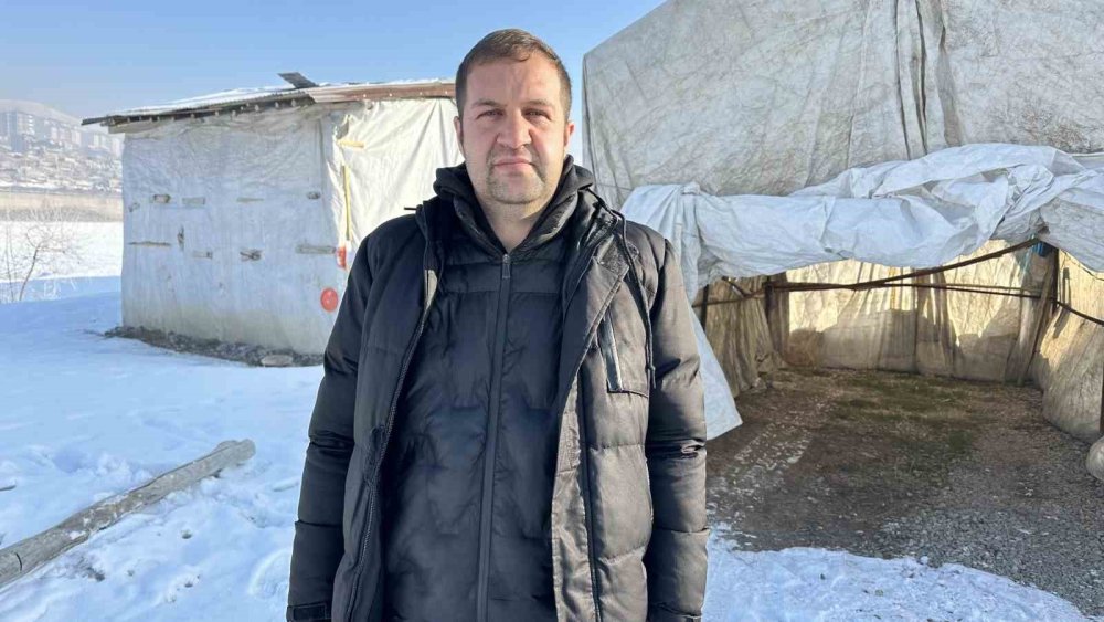 12 yaşın daki Eslem'in ölümü sokak hayavanları düzenlemesini yeniden gündeme getirdi