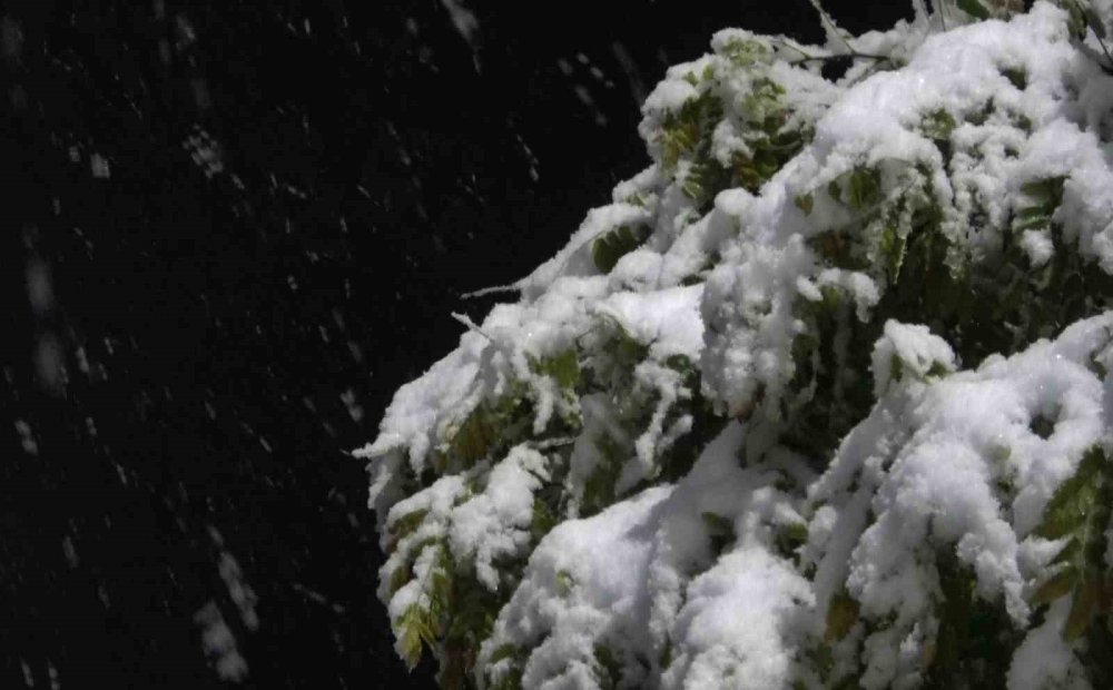 Aksaray beyaz renge büründü