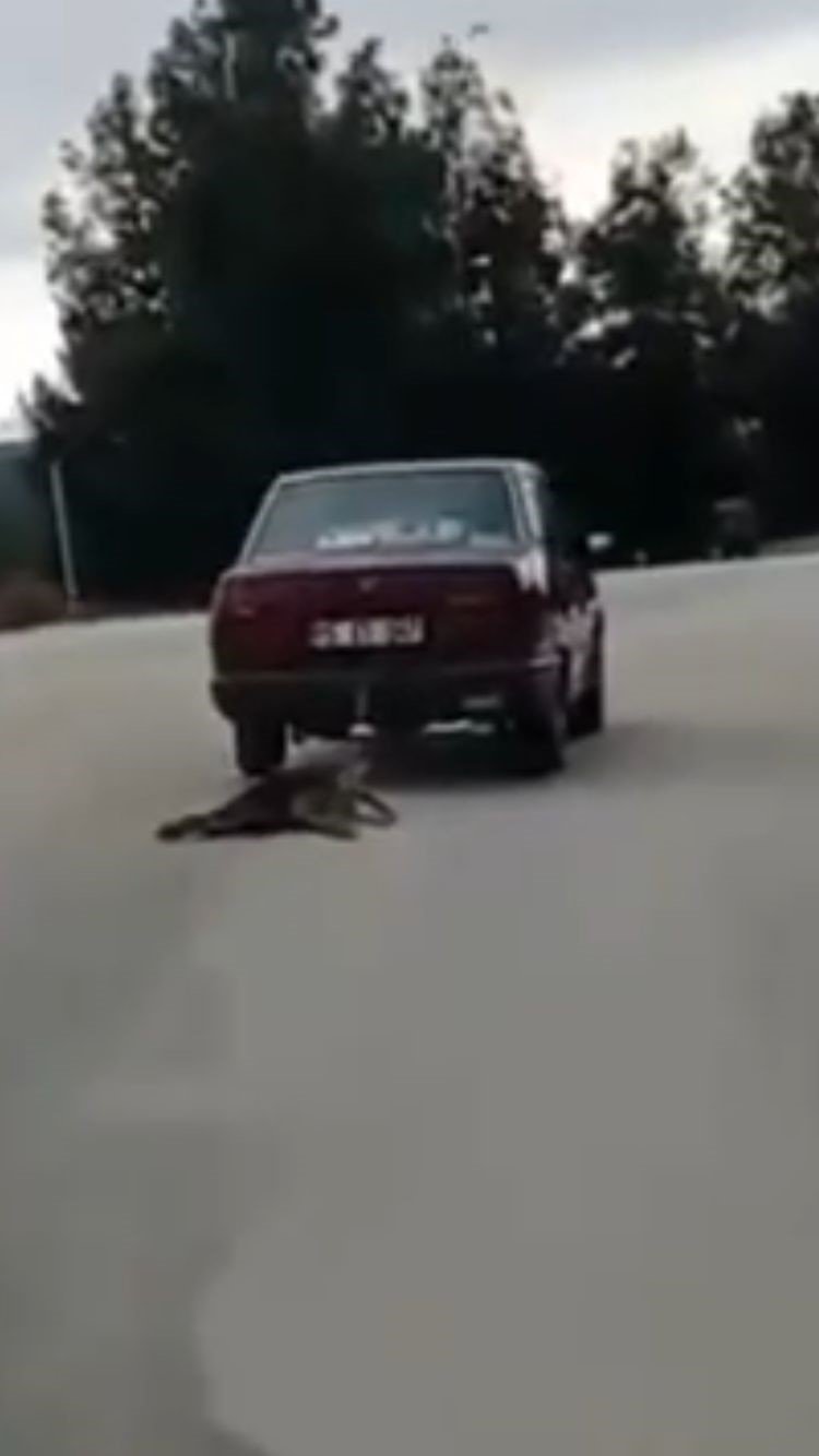 Burdur’da köpeği aracının arkasında sürükleyen şahıs tutuklandı