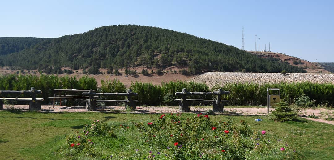 bka7544.jpg