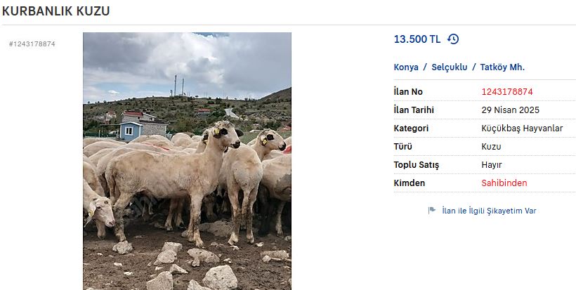 ekran-alintisi.jpg