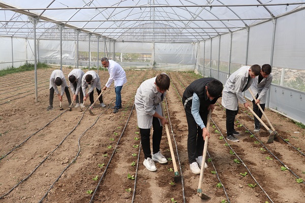 aa-20250509-37892748-37892740-lise-ogrencileri-aldiklari-egitimle-okuldaki-serada-sebze-yetistiriyor.jpg