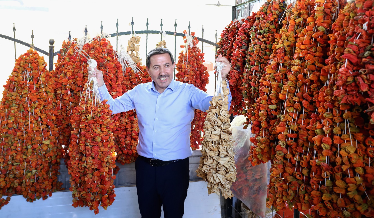 binlerce-yillik-ata-tohumlari-karatayda-hayat-buluyor-2.jpg