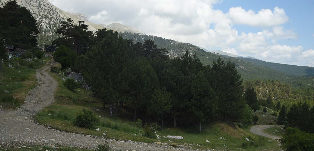 islibucak-ormanlari-6.jpg